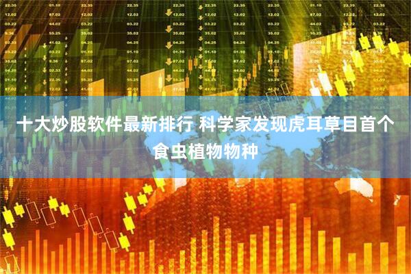 十大炒股软件最新排行 科学家发现虎耳草目首个食虫植物物种